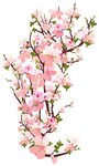 粉色烂漫桃花枝