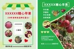 糖心苹果采摘园宣传单