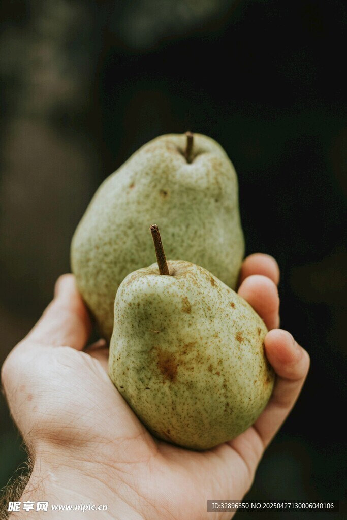 手中三颗青梨