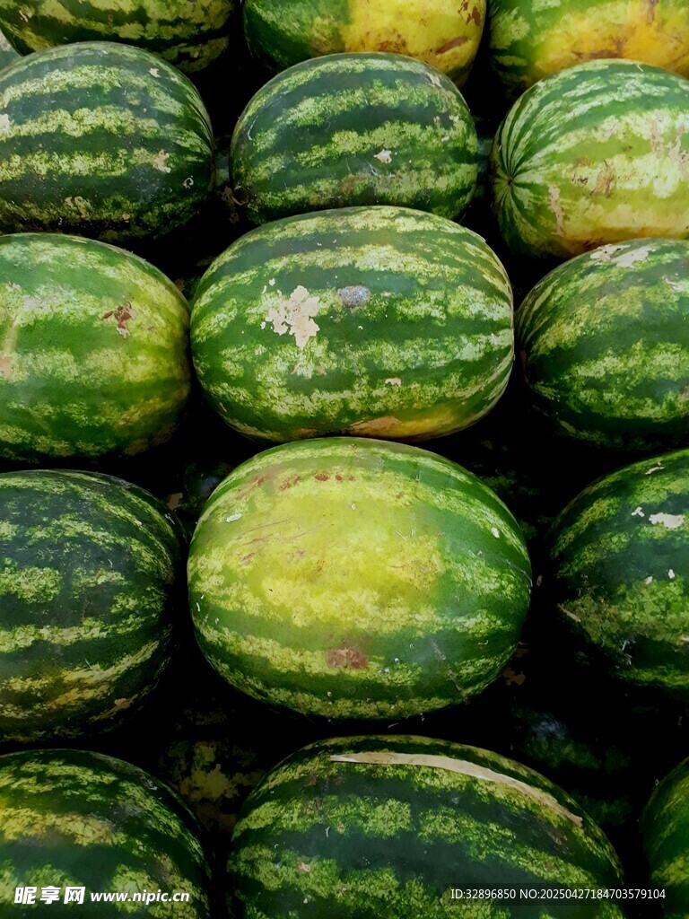整齐排列的新鲜大西瓜