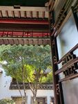 中式庭院一角