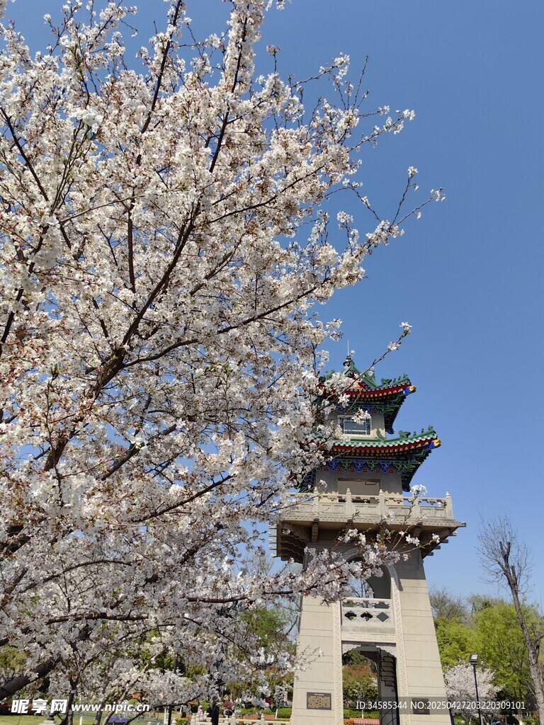 春日繁花映衬古典楼阁