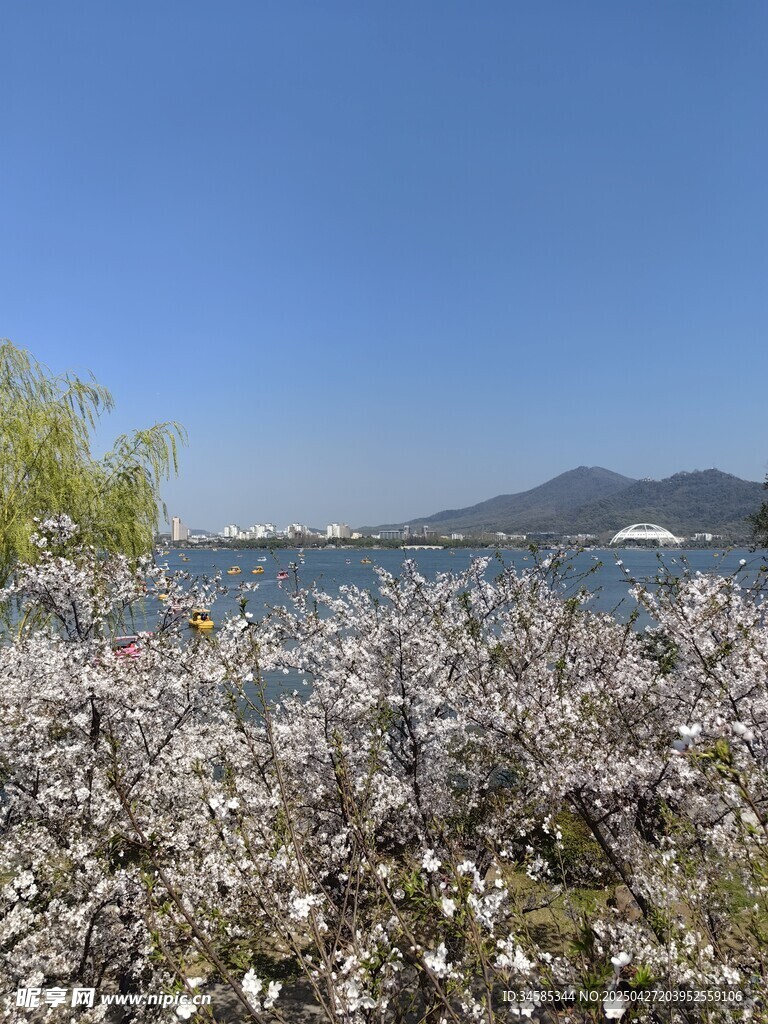湖畔繁花盛开美景