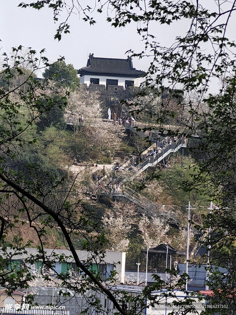 山间小屋隐于葱郁林木间
