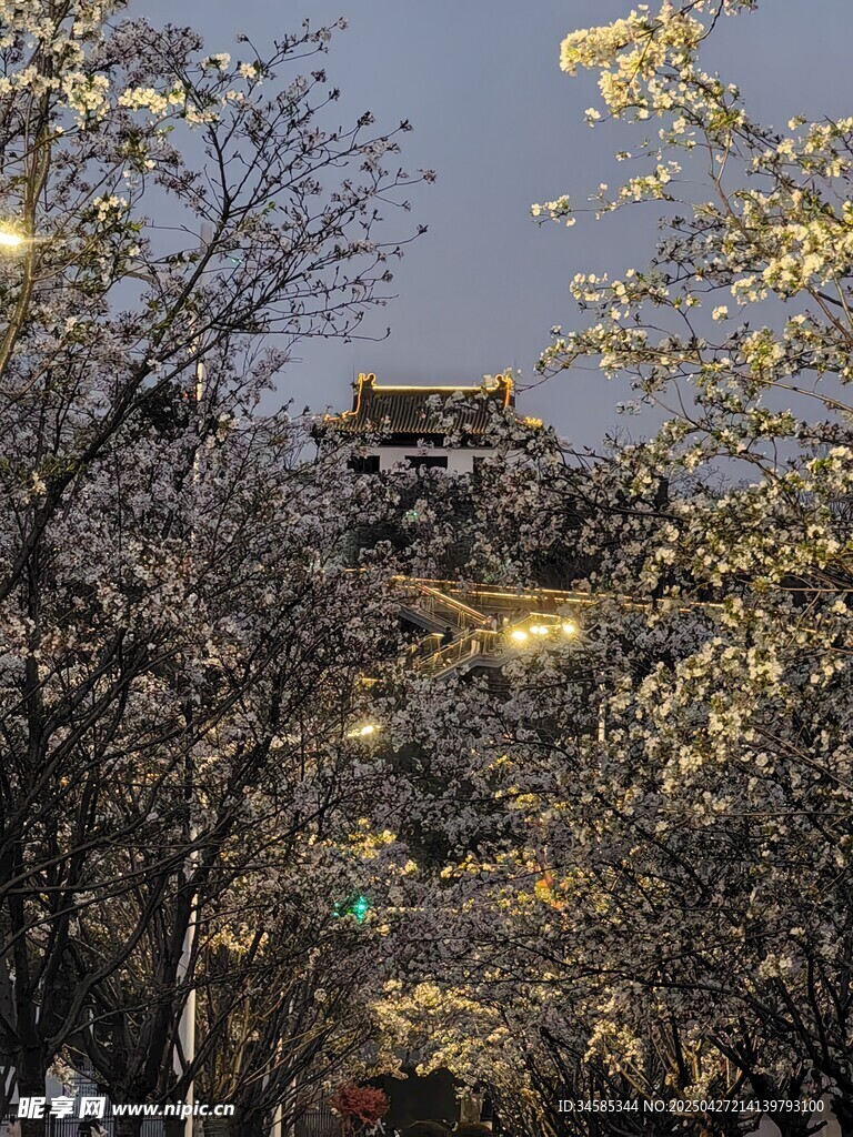 夜幕下繁花与古建筑相映
