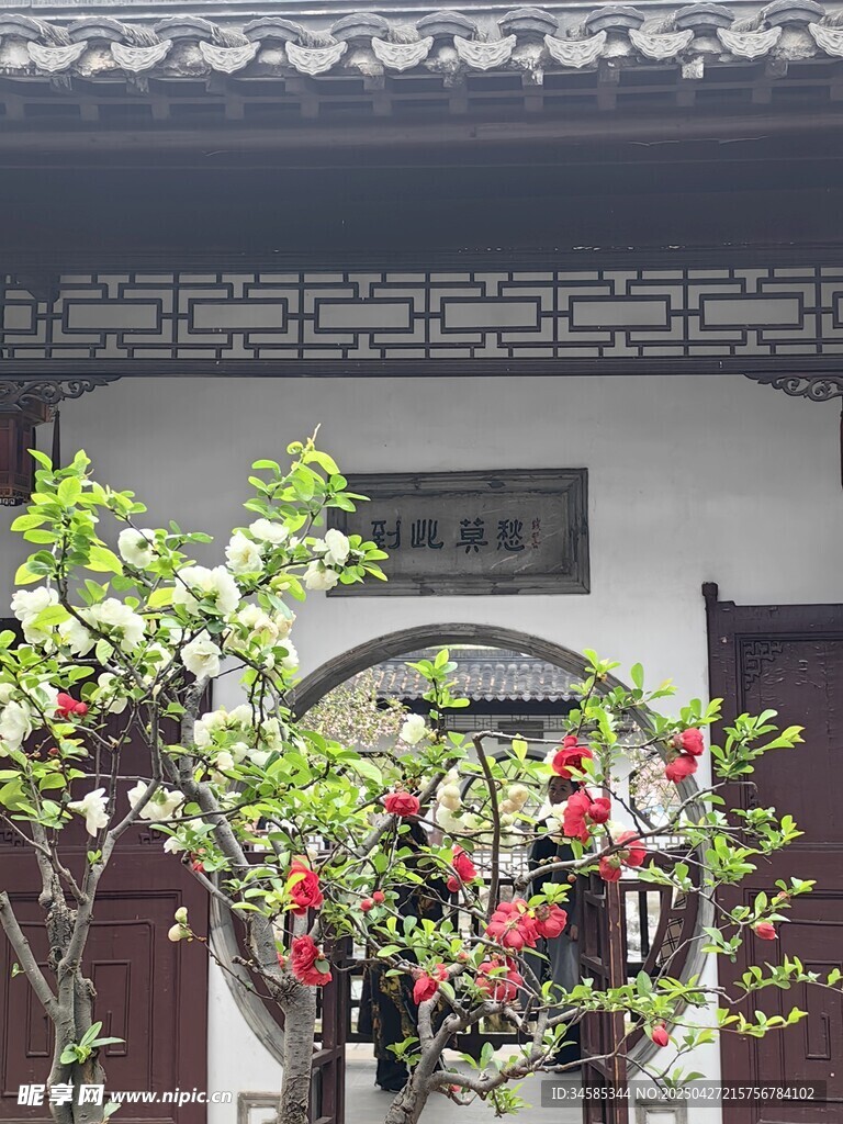 中式庭院繁花点缀景致
