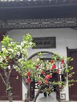 中式庭院繁花点缀景致
