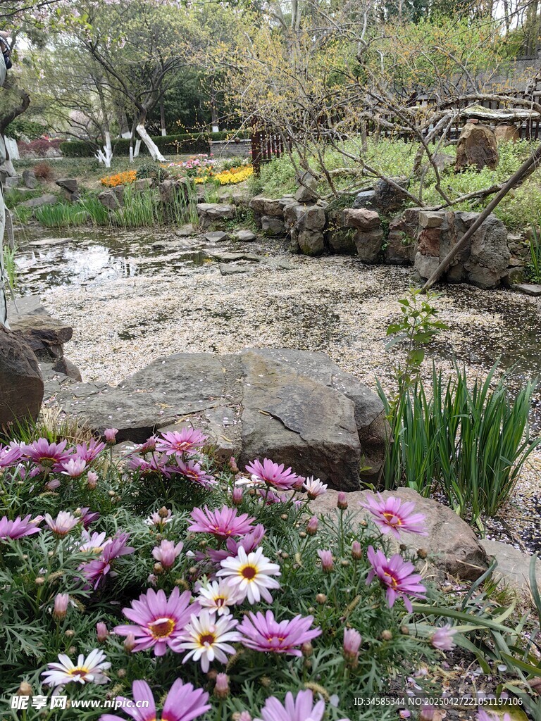 花园中的多彩花卉与石景