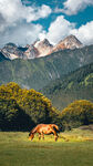 草原骏马与远山美景