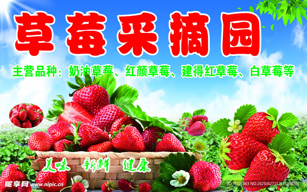 草莓采摘活动宣传海报