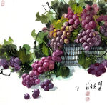 葡萄静物