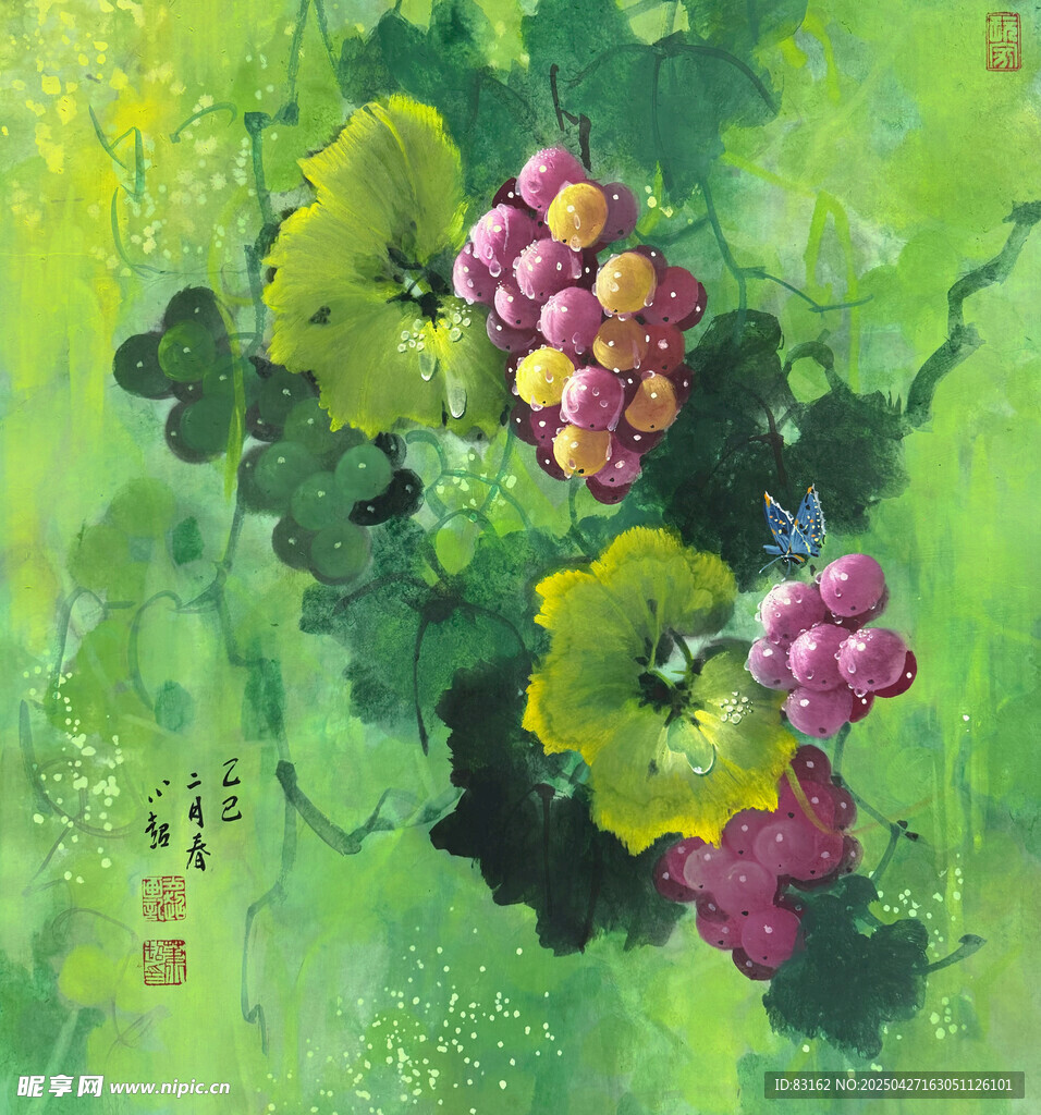 葡萄画