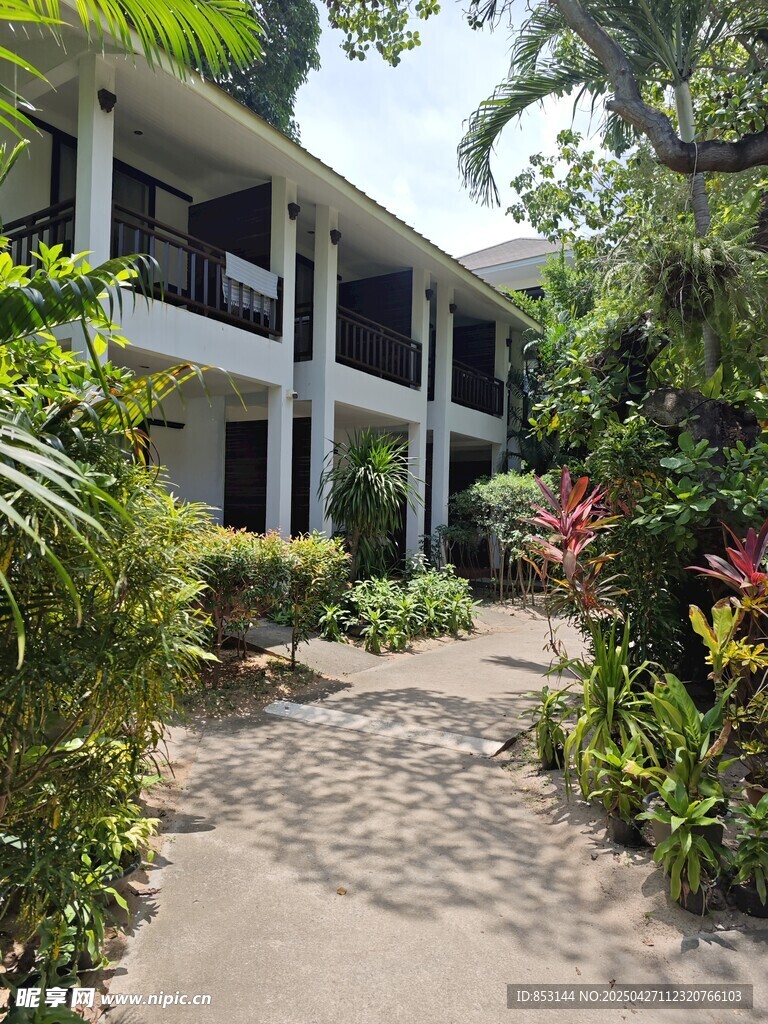 酒店庭院绿植景观