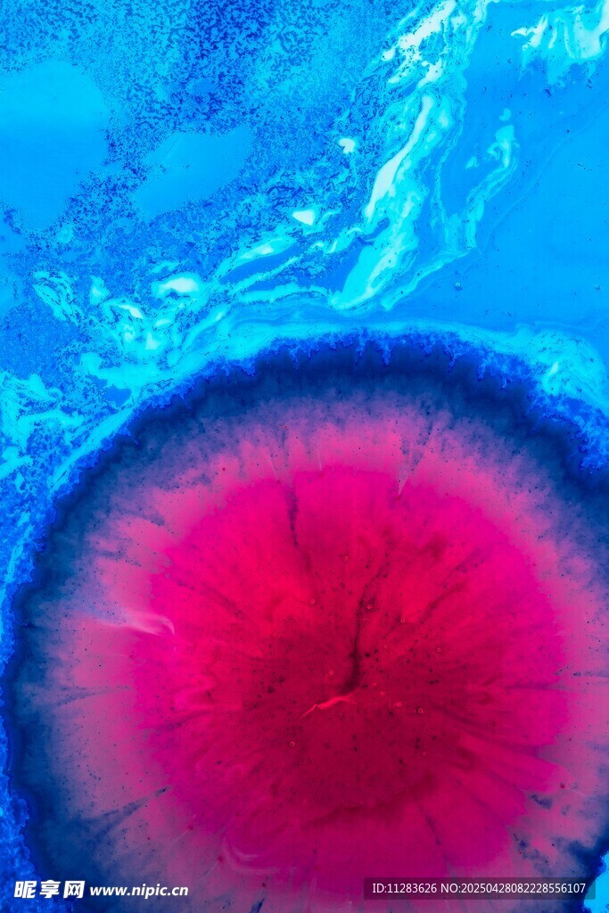 梦幻多彩海底珊瑚景观