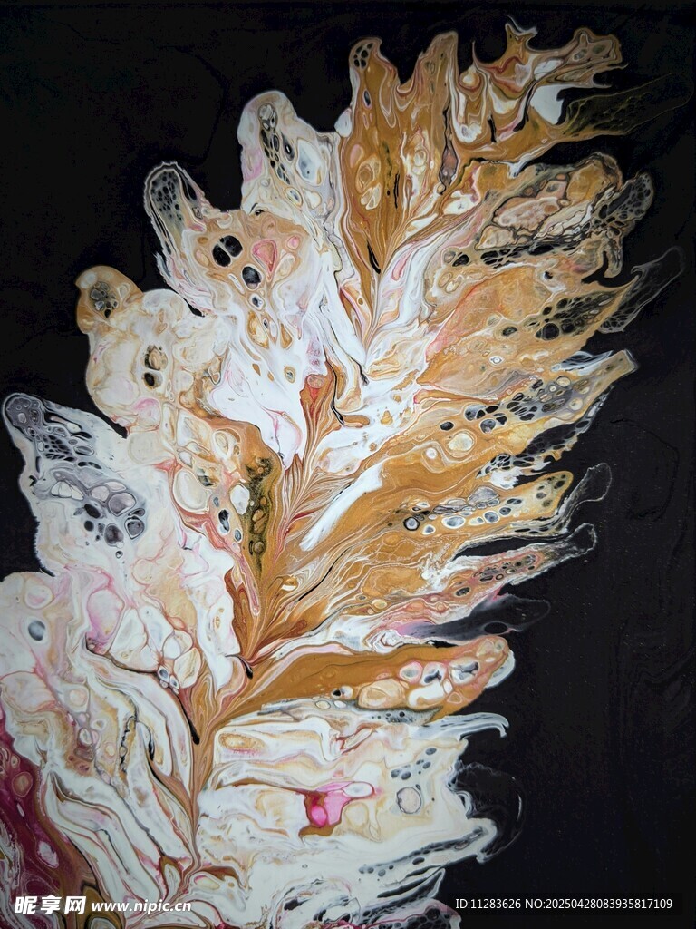 多彩羽毛艺术画作