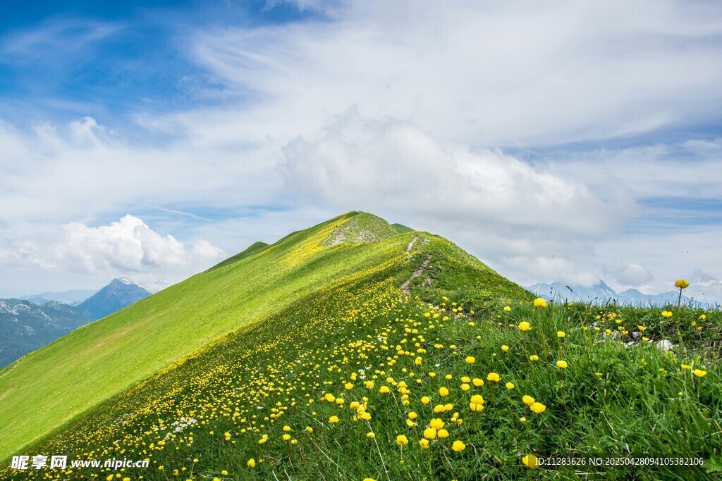 青山花海间的美丽景致