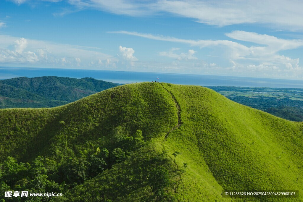 翠绿山丘美景