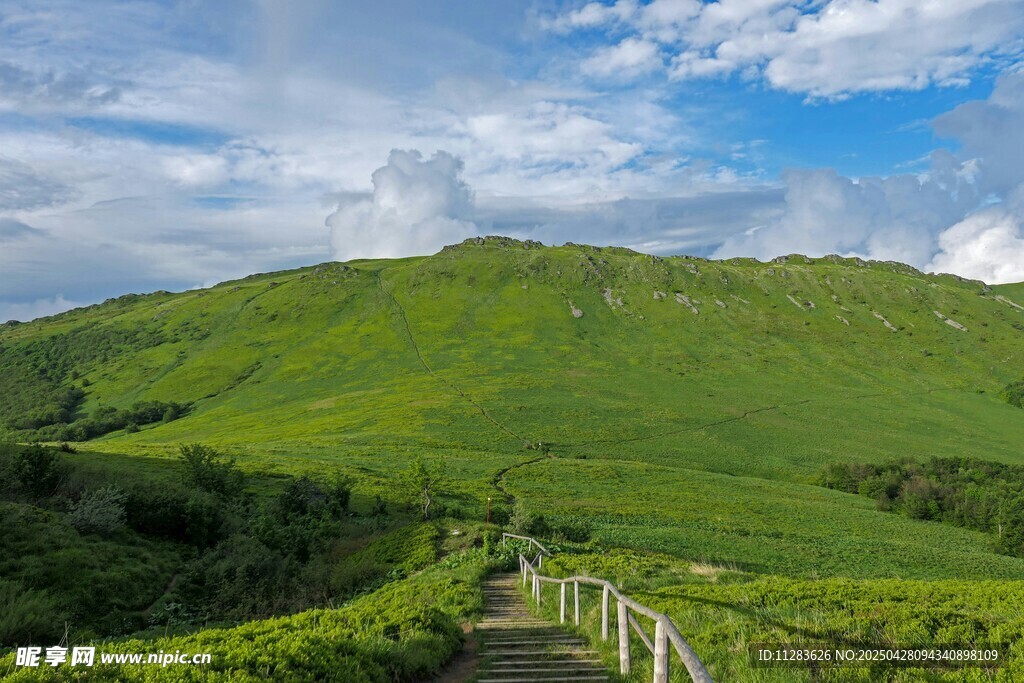 山间绿野小径风景如画