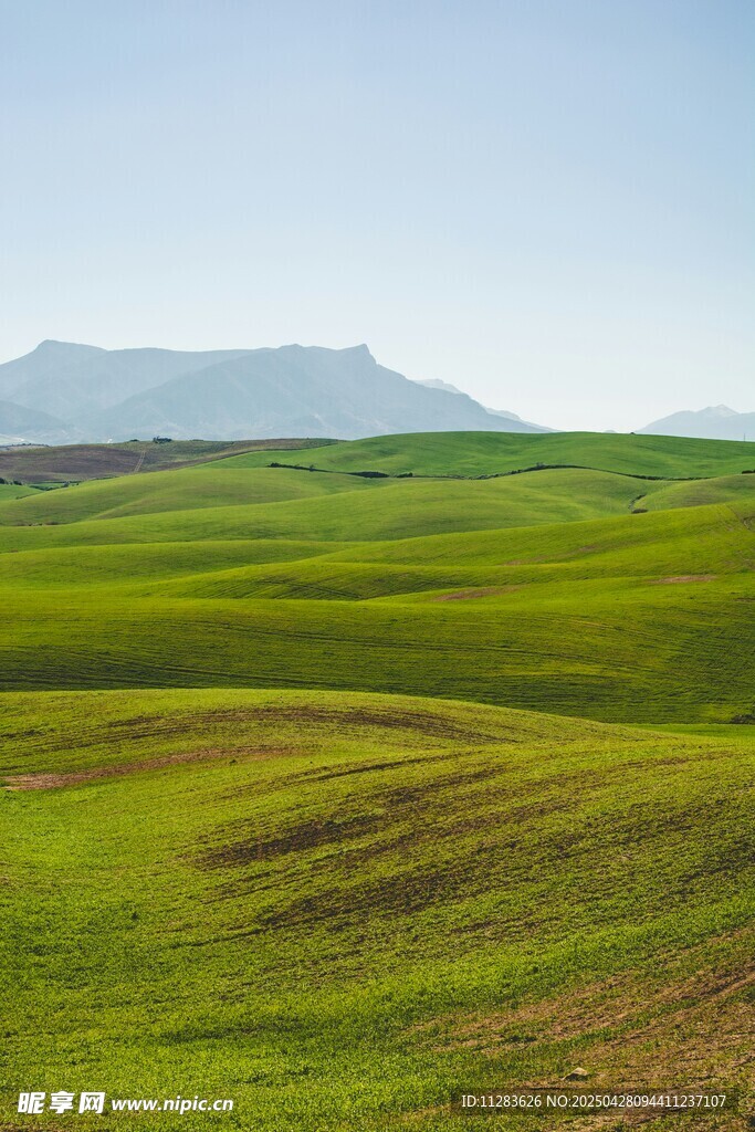 广袤绿野与远山美景