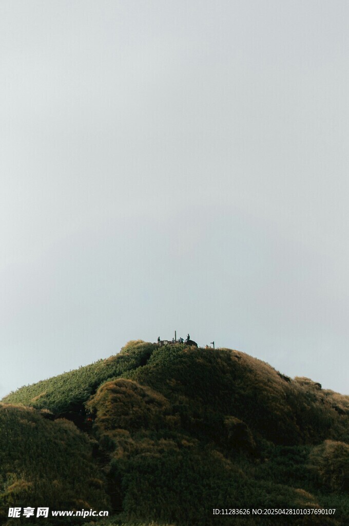 绿意盎然的山丘