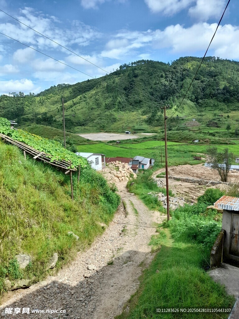 乡村土路旁的宁静村落