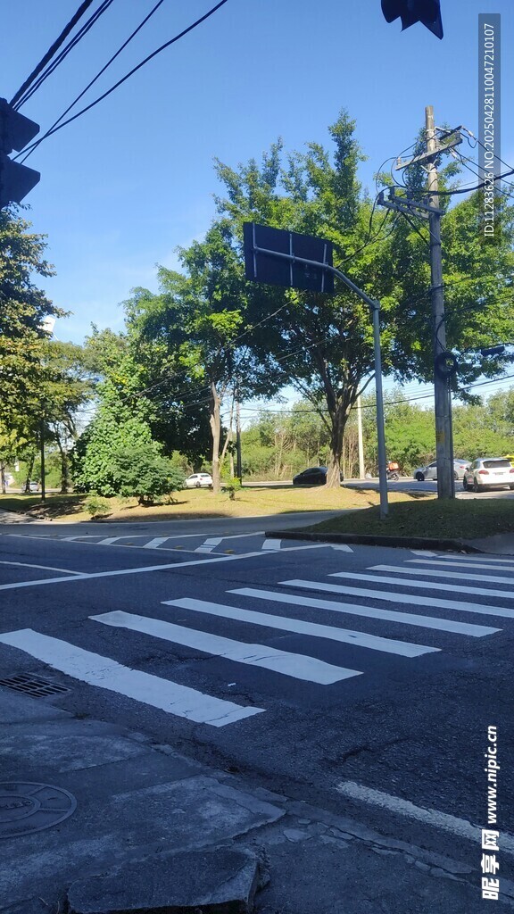城市道路斑马线及周边景象