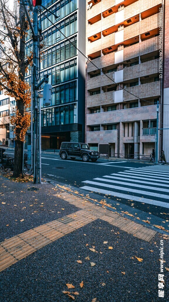 城市街道秋日景象