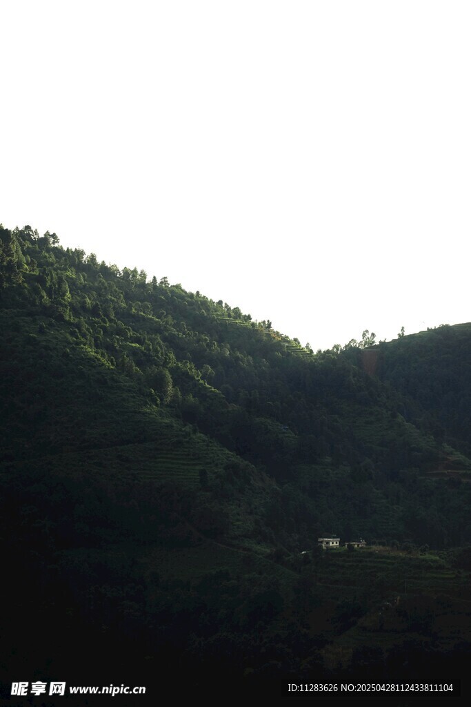 青山葱郁间的蜿蜒小路