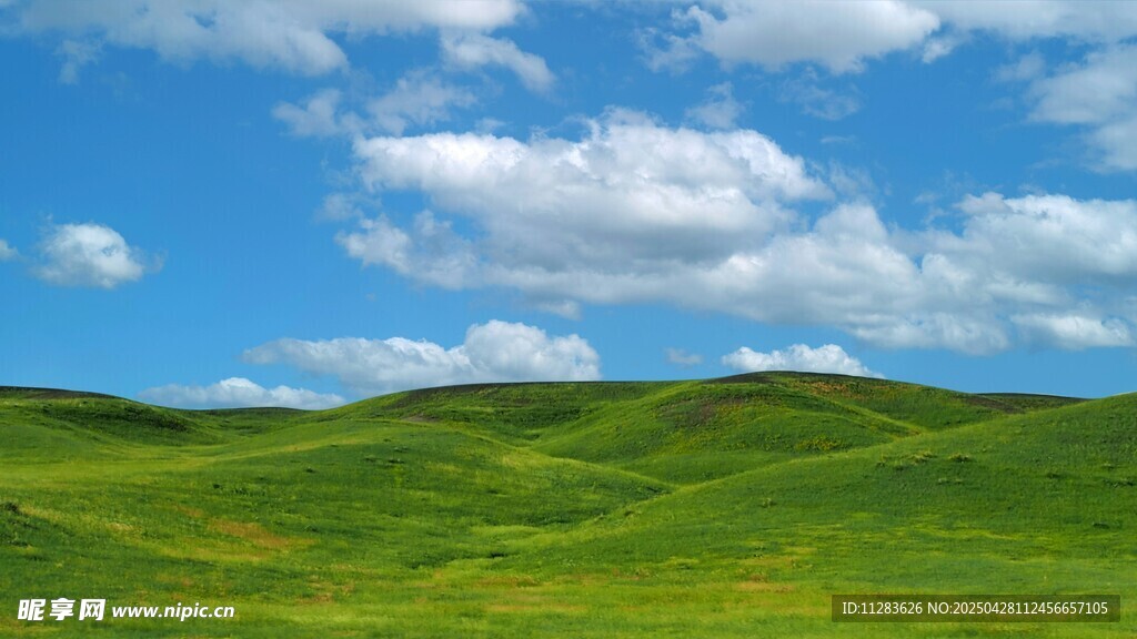翠绿草原与蓝天白云美景