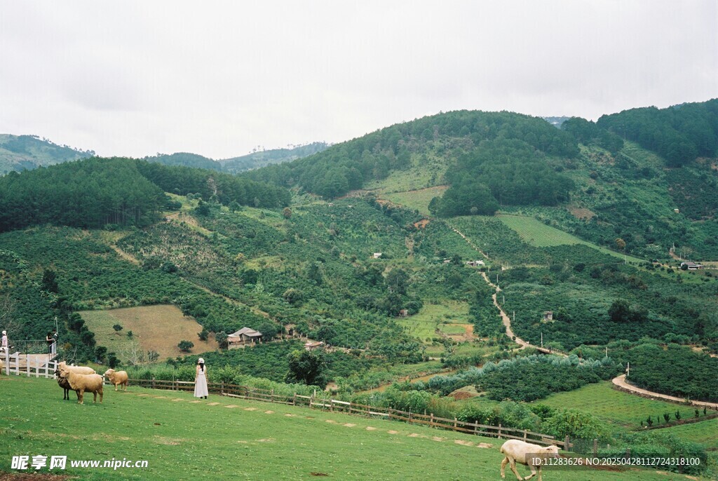 青山绿野间的悠然田园景
