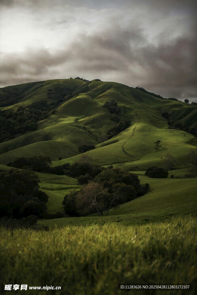 翠绿山丘间的自然美景
