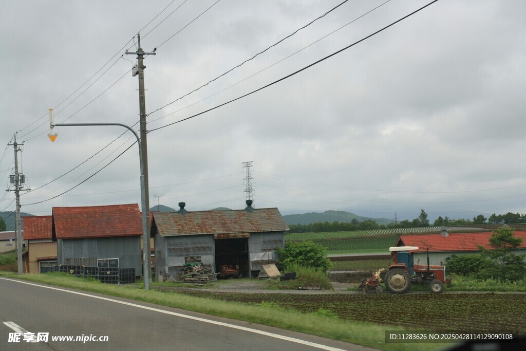 乡村公路旁的农舍景象