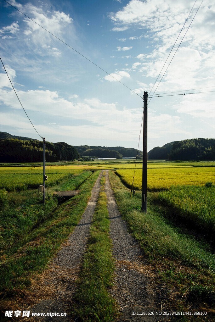 乡间田野小路风景