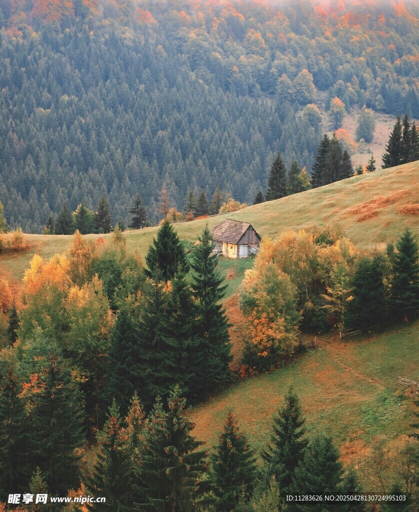 秋日山林美景