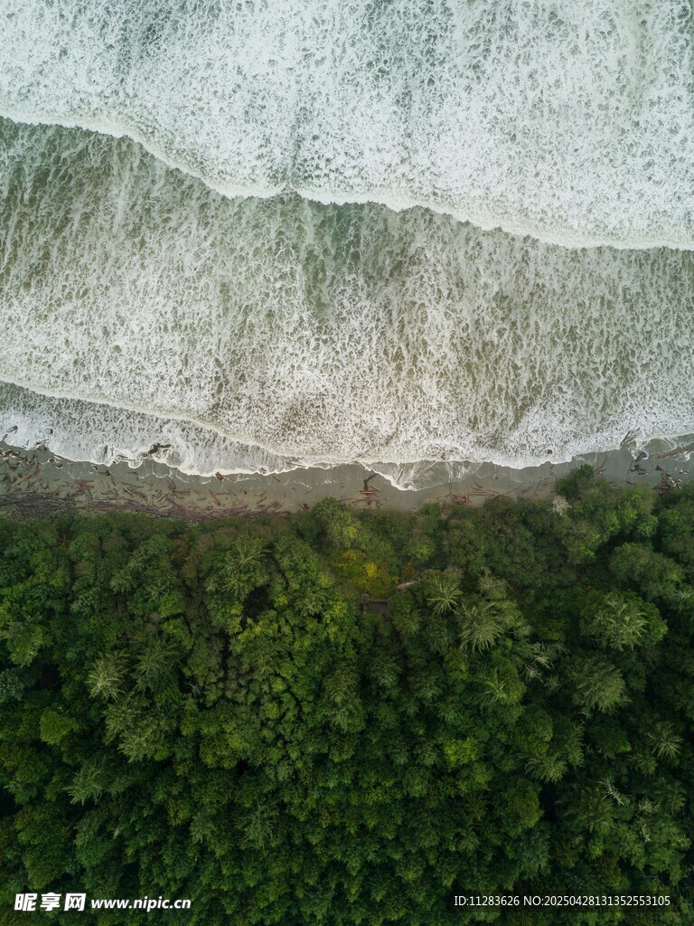 海岸绿植俯瞰美景