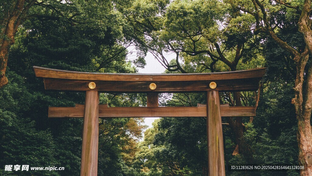 森林中的日式鸟居