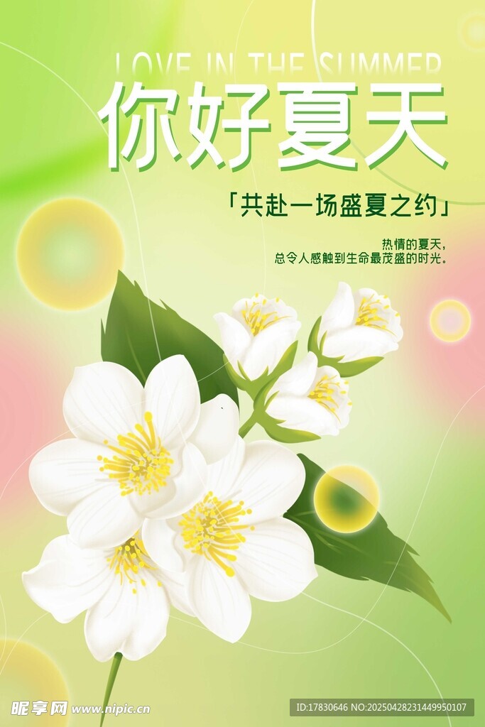 你好夏天 清新茉莉花绽放