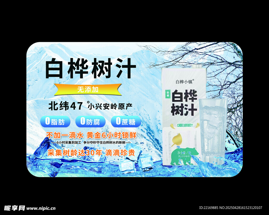白桦树水