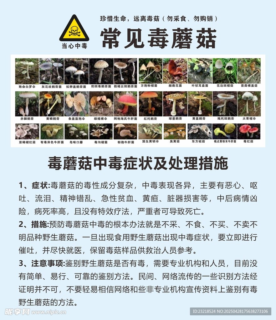 毒蘑菇