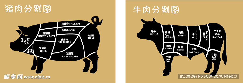 猪牛分割示意图