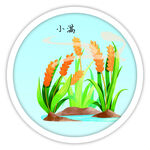小满