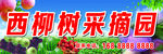采摘园