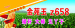 种业海报