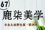 鹿柒美学