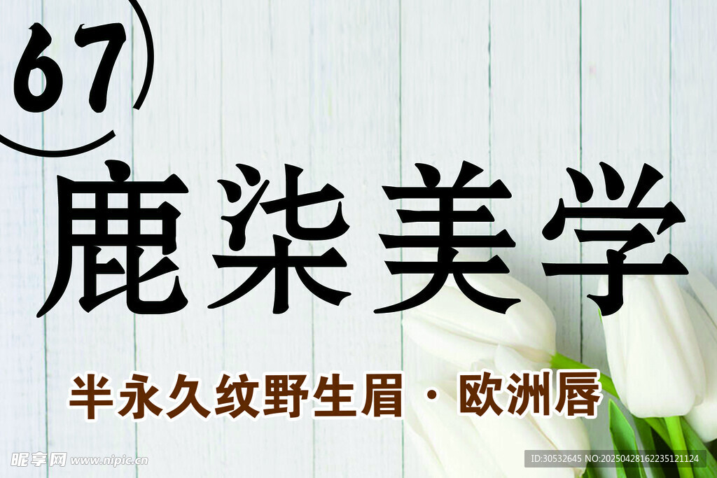 鹿柒美学