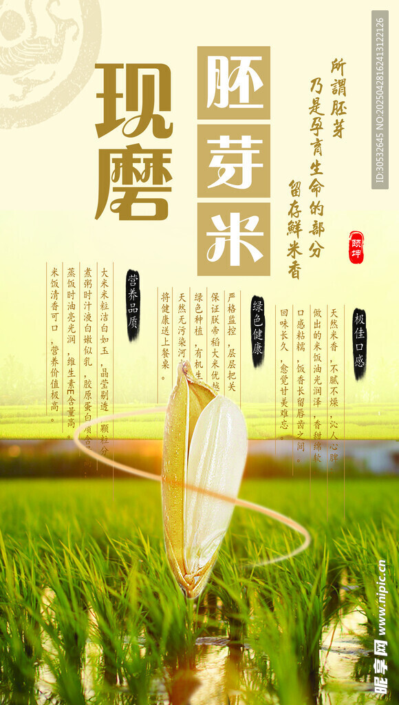 现磨胚芽米