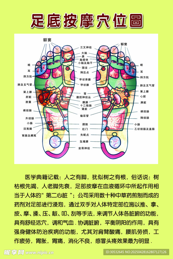 足底按摩穴位图
