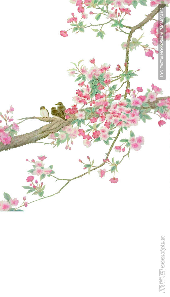 花鸟背景合层图
