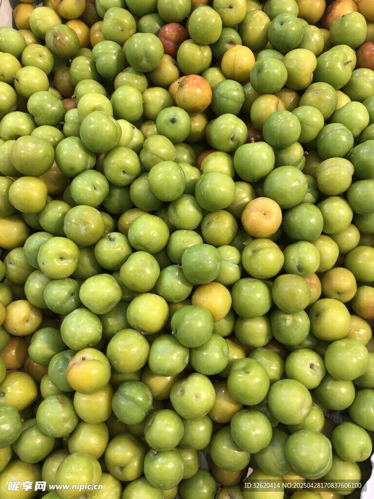 李子