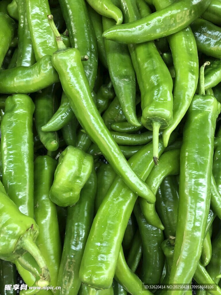 青椒 尖椒